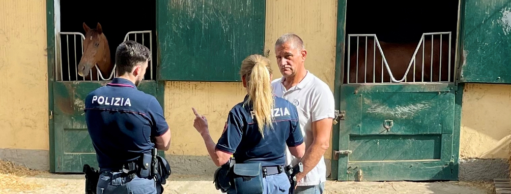 «I cavalli non si muovono»: malore alle Scuderie Olona