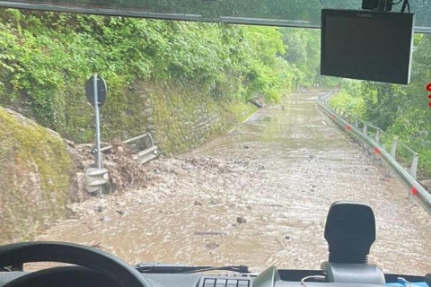 Acqua pazzesca: piante cadute e allagamenti