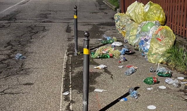 Qui e sopra il titolo alcune foto scattate dai samaratesi che risiedono nella zona del Parco dei Giusti