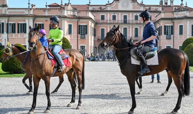 Ippodromo di Varese, ancora tutto fermo