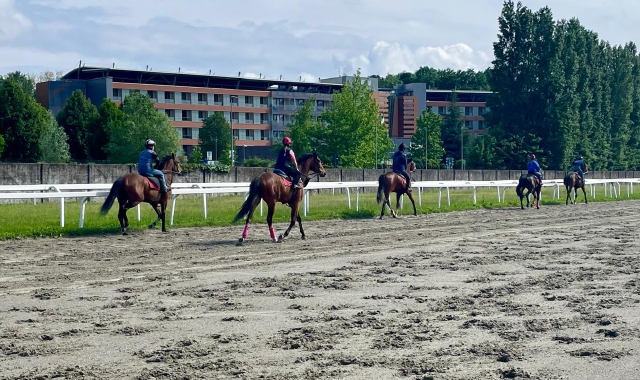 Sono ripresi martedì 13 maggio gli allenamenti sulla pista dell’ippodromo di Varese