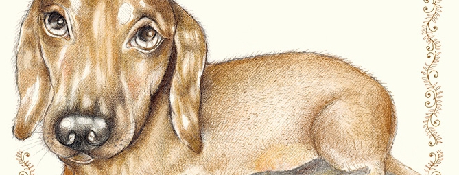 Ehi animale, ma come parli?