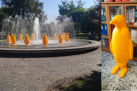 Pinguino 