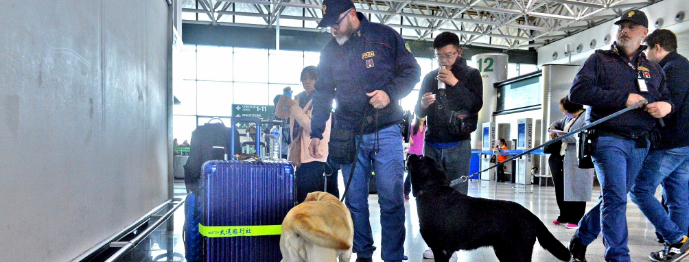 Bloccato a Malpensa ed espulso l'estremista danese Paludan