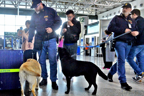Bloccato a Malpensa ed espulso l'estremista danese Paludan