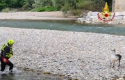 Capra finisce nel fiume: salvata dai vigili del fuoco