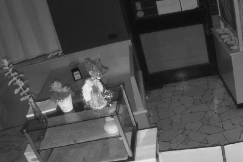 Il ladro imprendibile, la bici e il nuovo colpo