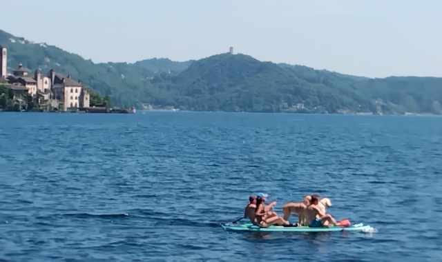 A quattro zampe in canoa. Sul lago d’Orta