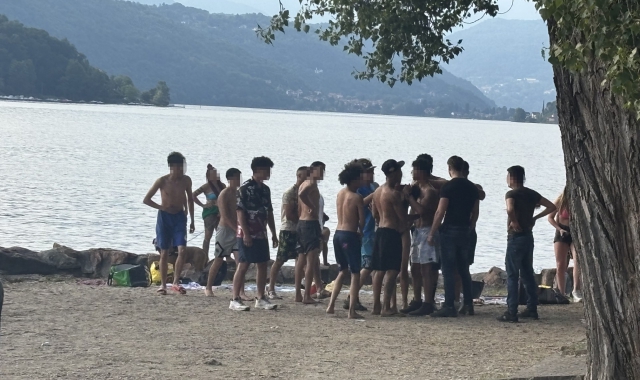 Rissa sulla spiaggia di Porto Ceresio: panico tra i bagnanti