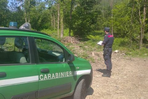 Gemonio: bosco trasformato in prato. Maxi multa e denuncia