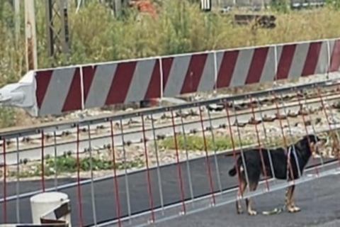 Sbarre alzate per errore: urto sui binari a Tradate