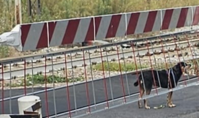 Tanti problemi di sicurezza al passaggio a livello Trenord fra viale Marconi e corso Bernacchi (foto Archivio)