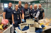 Malpensa: sequestrati pesci illegali