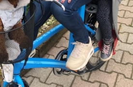Bici rubate davanti al municipio, rabbia a Uboldo