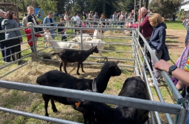 AgriVarese 