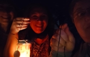 Lanterne di notte nel bosco alla Rasa