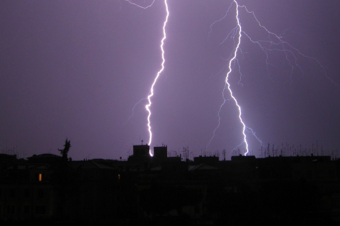 Tempesta di vento, decine di piante cadute
