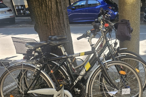 Riecco i ladri di biciclette: ne rubano tre al giorno