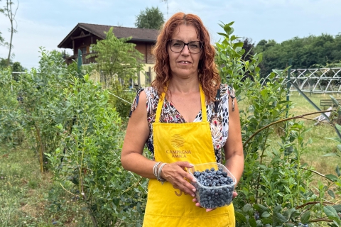 È l’anno del mirtillo varesino