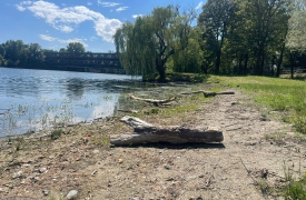 Degrado sul lungofiume a Sesto: «Detriti e trascuratezza»