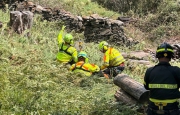 Schiacciato da una pianta, soccorritori allertati dalle urla