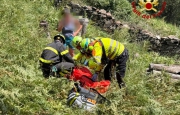 Schiacciato da una pianta, soccorritori allertati dalle urla