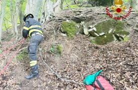 Bloccati nel greto di un torrente: li salvano i vigili del fuoco