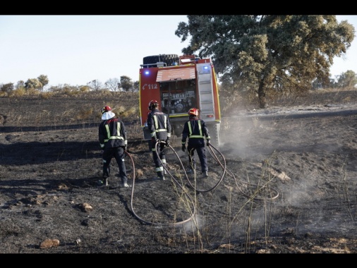 Circoscritto l'incendio a Toledo, bruciati 3.200 ettari