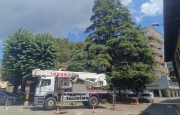 Cedro colpito da un fulmine: paura ad Angera