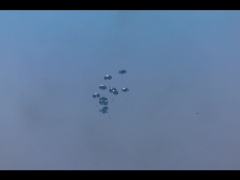 929d0896bbe57675aa326dc011b1c57e_6886265626d0d.jpg