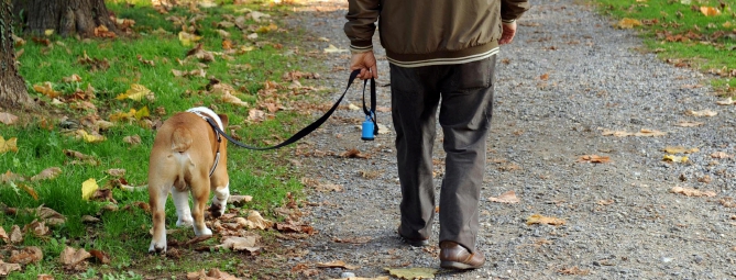 La bottiglietta “anti-degrado” obbligatoria anche a Castellanza