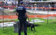 Luino più sicura grazie a Zorro