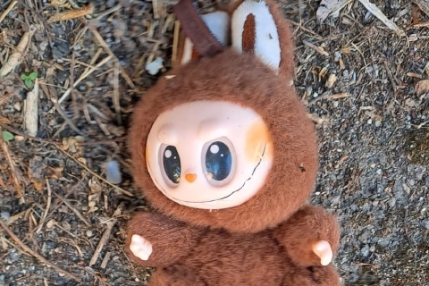 Busto Arsizio: il giallo del peluche ritrovato