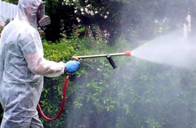 Allarme Dengue a Busto Arsizio: via alla disinfestazione