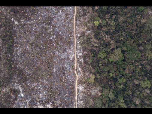 Brasile, deforestazione Amazzonia +4% in 12 mesi