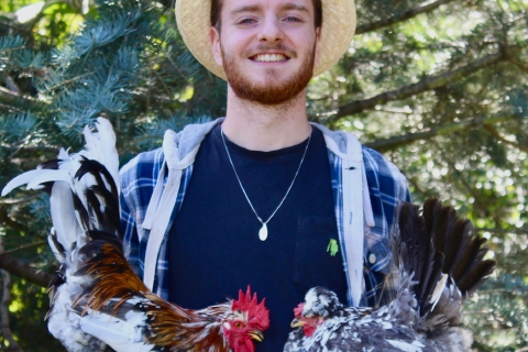 «Salvo le galline più rare»