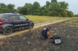 Fiamme nei boschi, timore per i piromani