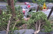 Auto giù dalla scarpata, tragedia sfiorata