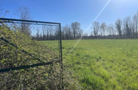 Canile in via Duni, il no del Wwf: «Danneggia la fauna»