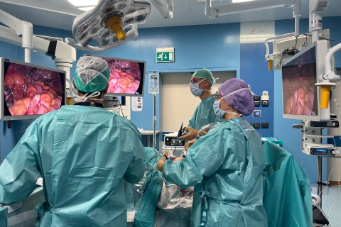 Endometriosi, Del Ponte in prima linea