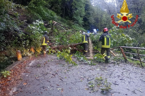 Piante crollano sulla Provinciale, ancora strade allagate