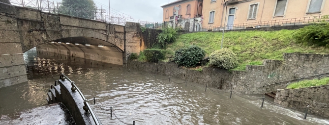 Sottopassi allagati a Saronno, pianta precipitata a Luino