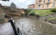 Sottopassi allagati a Saronno, pianta precipitata a Luino