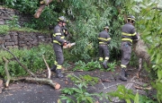 Sottopassi allagati a Saronno, pianta precipitata a Luino