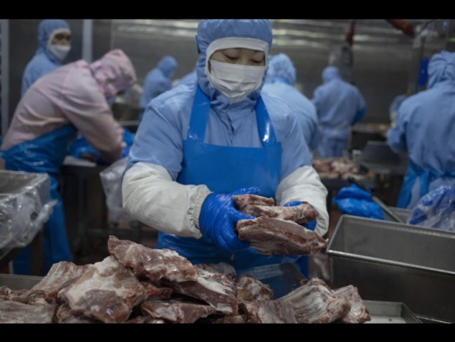 Cina, misure provvisorie su import carne di maiale dall'Ue