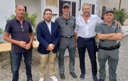 Daini abbattuti nel Novarese: «È per la tutela del territorio»