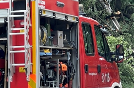 Crolla un albero in centro a Luino. Notte di pioggia nel Varesotto