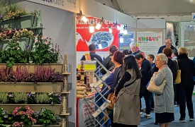 Apre la Fiera di Varese: «Obiettivo boom di presenze»