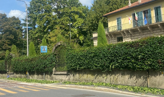 Le siepi tagliate