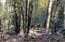 Fungiatt soccorso nel bosco vicino al lago Delio
